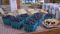Fresh Picked Blueberries and 
Fresh Baked Blueberry Bread at Parlee Farms