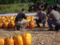 WBZ-TV Todd Gutner interviewing Mark Parlee at Parlee Farms