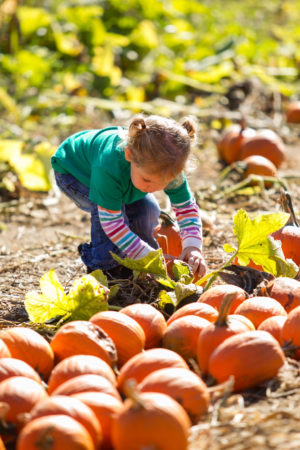 Parlee Farms Fall School Tours