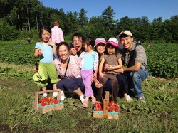 Strawberry Picking at Parlee Farms