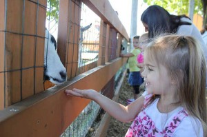 Lowell MA area animal petting farm