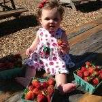 Strawberry Picking at Parlee Farms