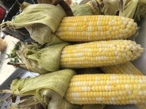 Non-GMO Roasted Corn at Parlee Farms!
