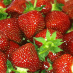 Jewel Strawberries