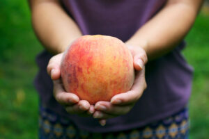 The Perfect Peach from Parlee Farms