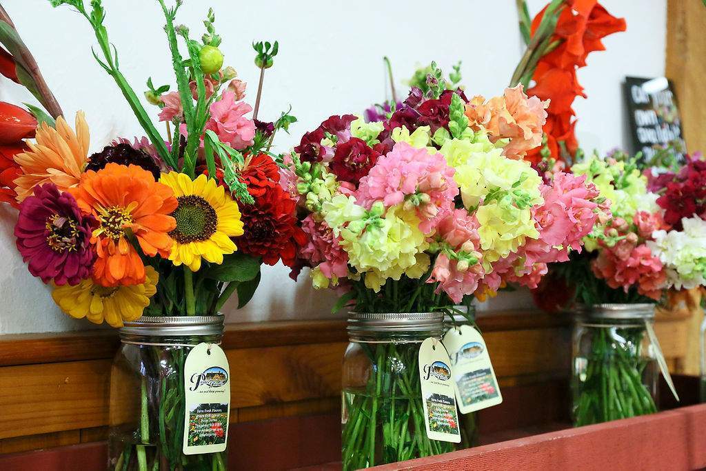 Farm Grown Flowers at Parlee Farms Tyngsboro MA