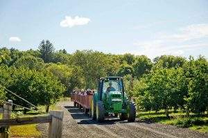 Hayrides to the Apple Orchard at Parlee Farms