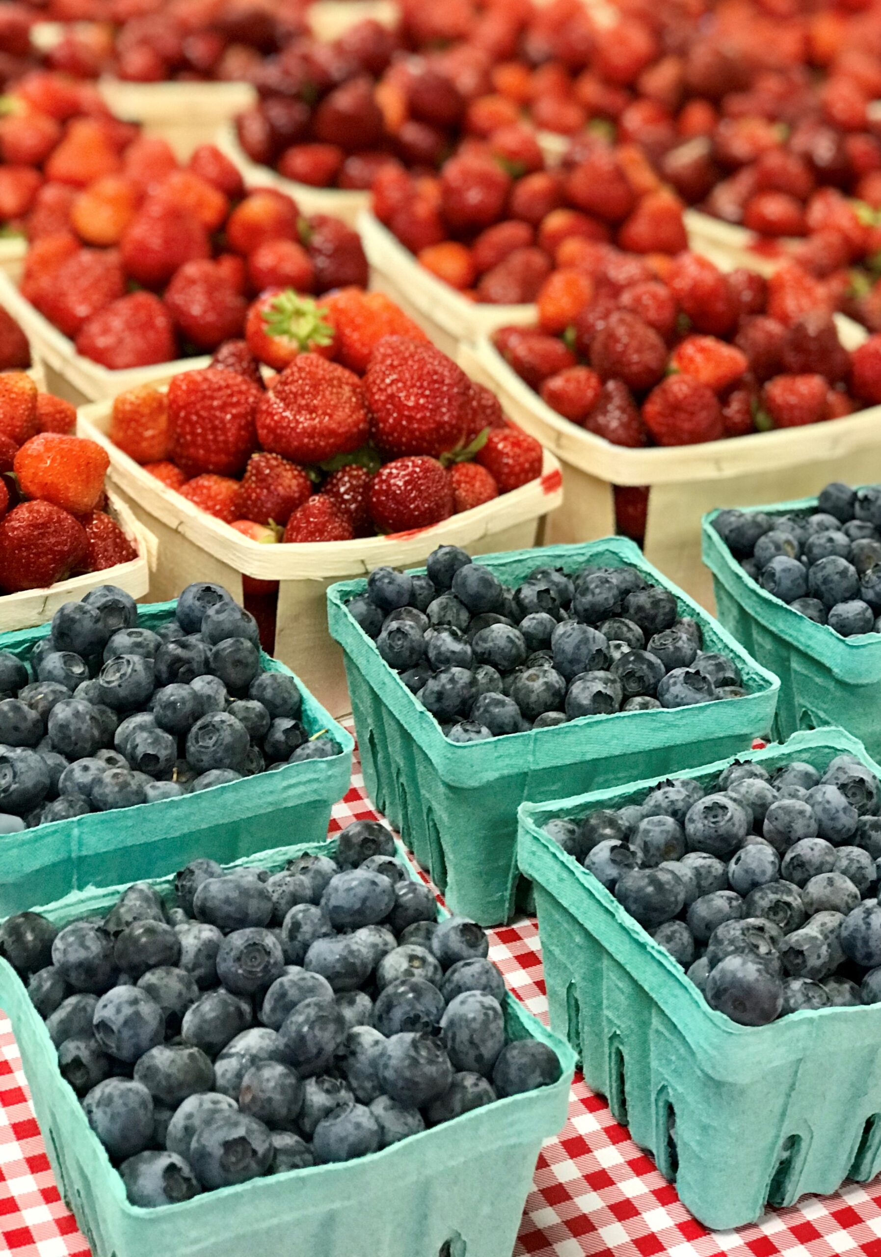 Blueberries and Strawberries grown at Parlee Farms