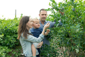 Pick Your Own Blueberries at Parlee Farms