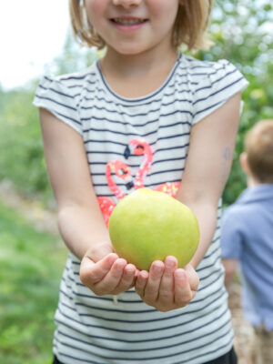 Pick Your Own Apples at Parlee Farms