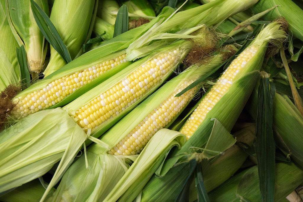 Parlee Farms Non-GMO Corn