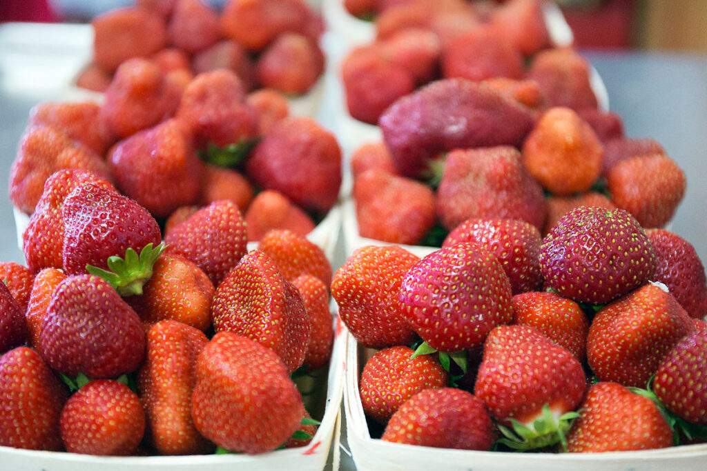 Our Farm Fresh Strawberries at Parlee Farms