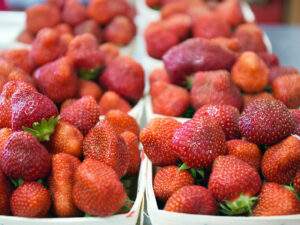 Our Farm Fresh Strawberries at Parlee Farms
