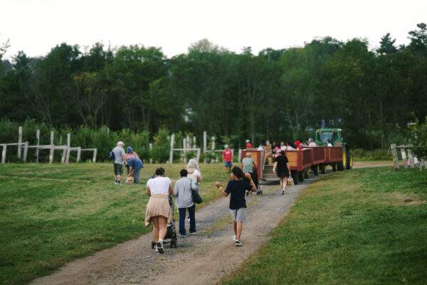Hayride