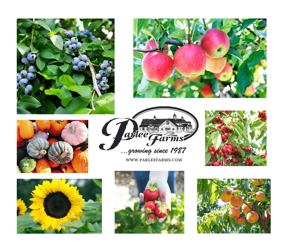 Parlee Farms Pick Your Own Fruit and Flowers