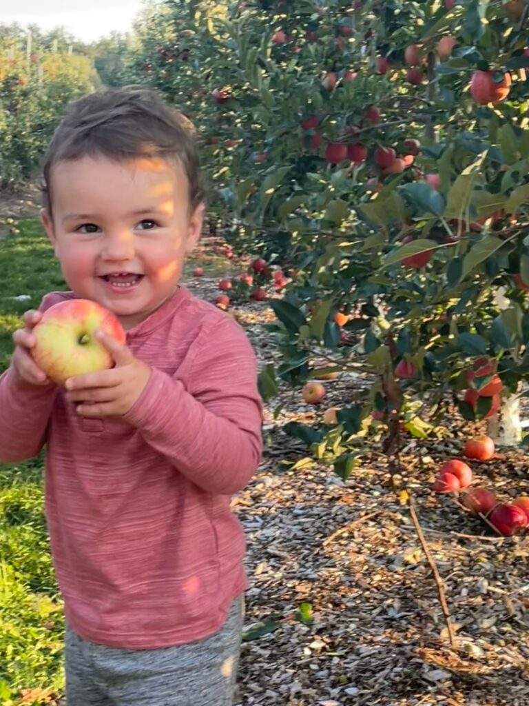 Pick Your Own Apples at Parlee Farms