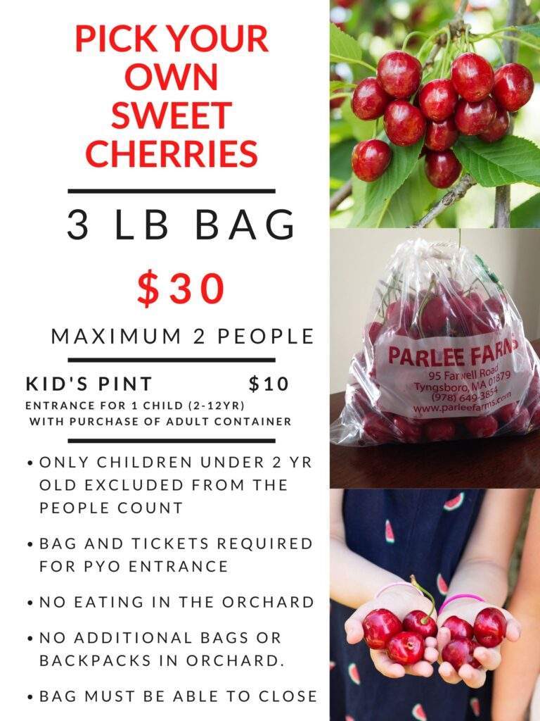 Pick Your Own Sweet Cherries at Parlee Farms, Tyngsboro MA