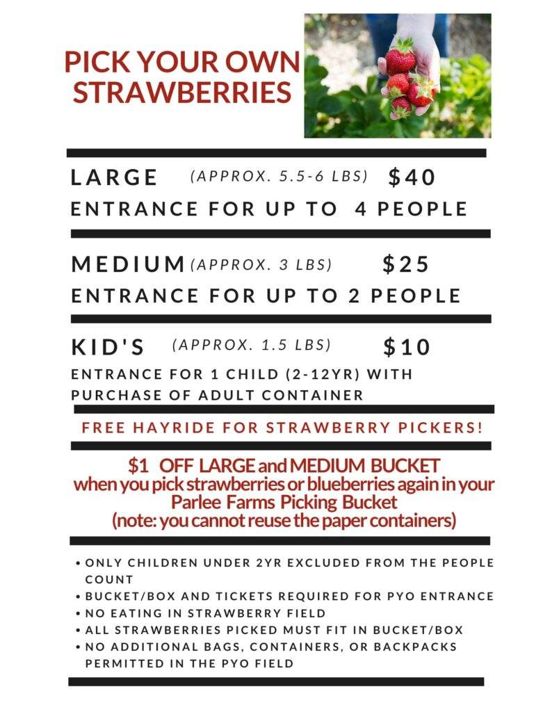 Parlee Farms Pick Your Own Strawberries