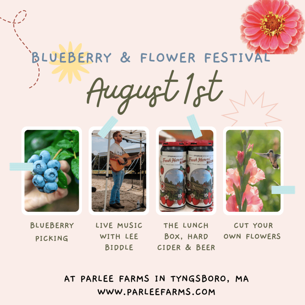 Blueberry & Flower Festival on Aug 1 at Parlee Farms, Tyngsboro MA