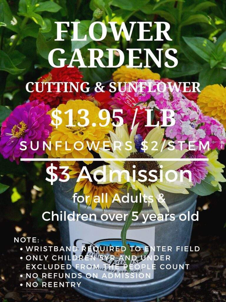 Cut your own flowers Parlee Farms 
