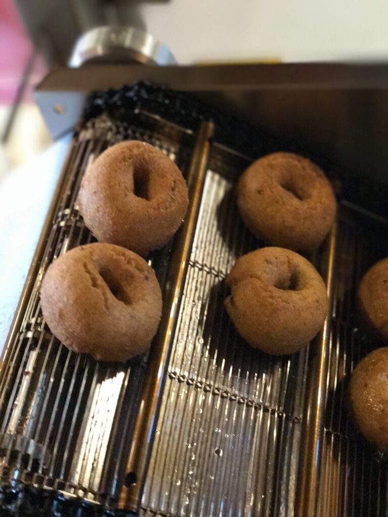 Blueberry Donuts made fresh at Parlee Farms, Tyngsboro MA