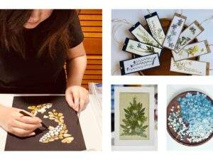 Pressed flower workshop at Parlee Farms in Tyngsboro MA