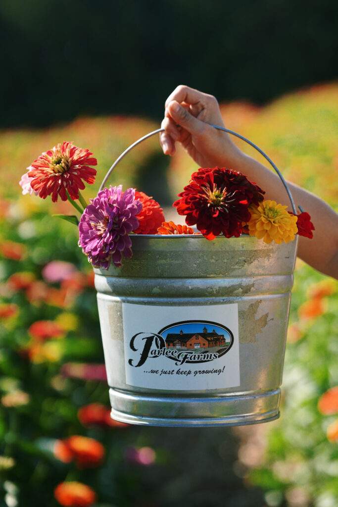 The Flower Garden at Parlee Farms, Tyngsboro MA 