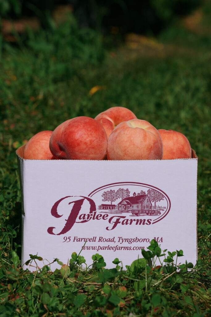 pick your own peaches at Parlee Farms in Tyngsboro MA