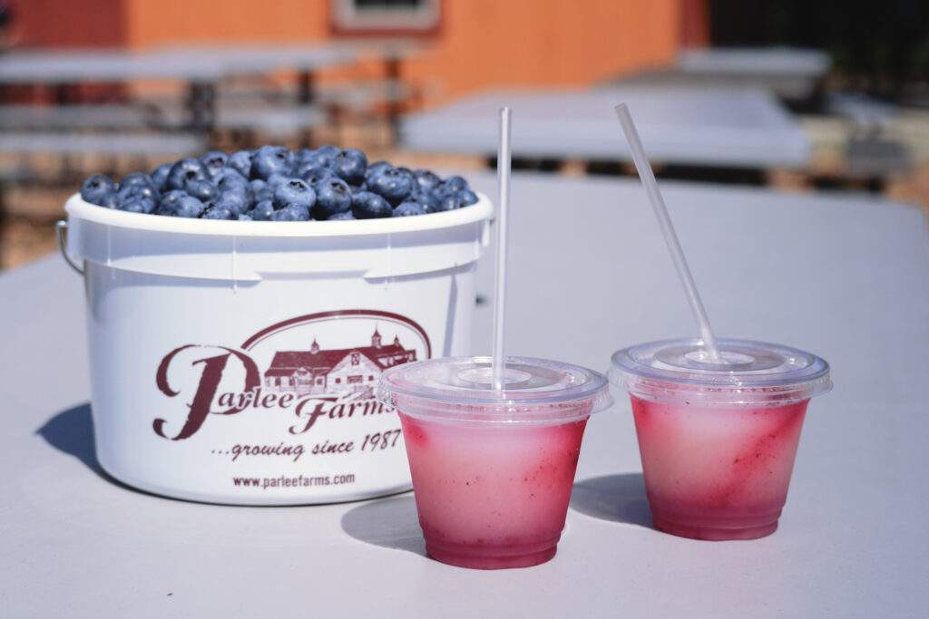 Blueberries & Blue Harvest Lemonade at Parlee Farms, Tyngsboro MA