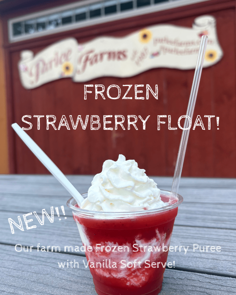 Frozen Strawberry Float made with Parlee Farms' Strawberries, Tyngsboro MA