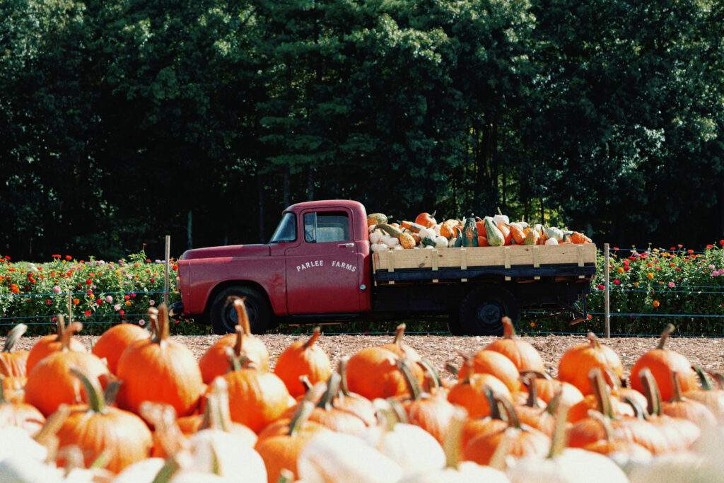 Pumpkin Truck in the Pumpkin Patch at Parlee Farms, Tyngsboro MA