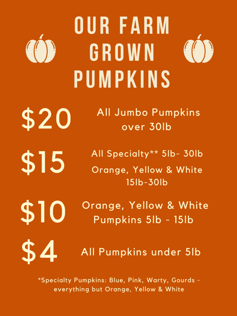 Pumpkin Pricing at Parlee Farms, Tyngsboro MA